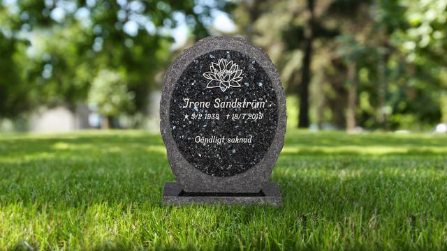 Bild av Stenmodell EN103