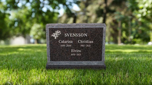 Bild av Stenmodell EN109