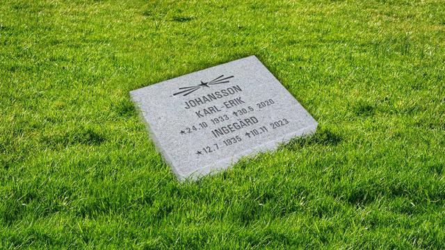 Bild av Stenmodell GRF 1002