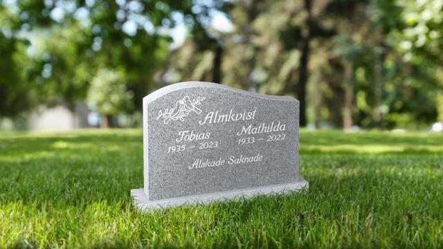 Bild av Stenmodell GRF 1005