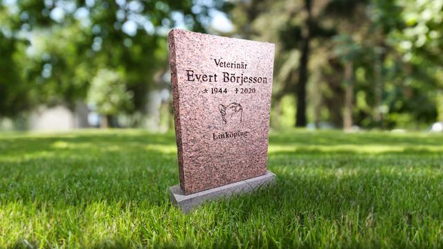 Bild av Stenmodell GRF 1006