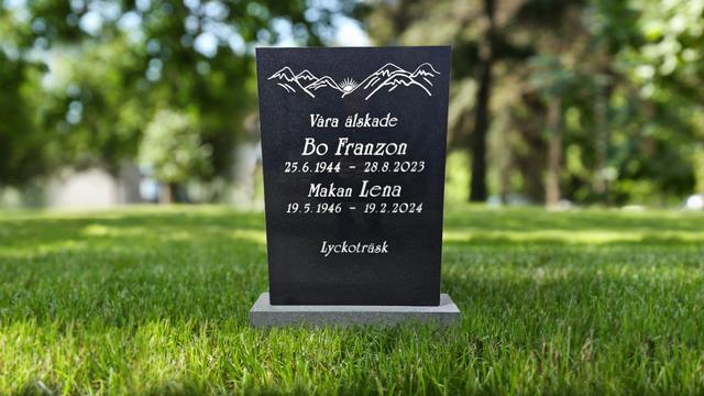 Bild av Stenmodell GRF 1008