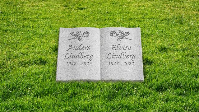 Bild av Stenmodell L662