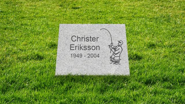 Bild av Stenmodell L663b