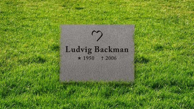 Bild av Stenmodell L665