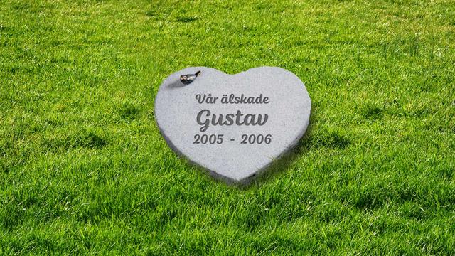 Bild av Stenmodell L667